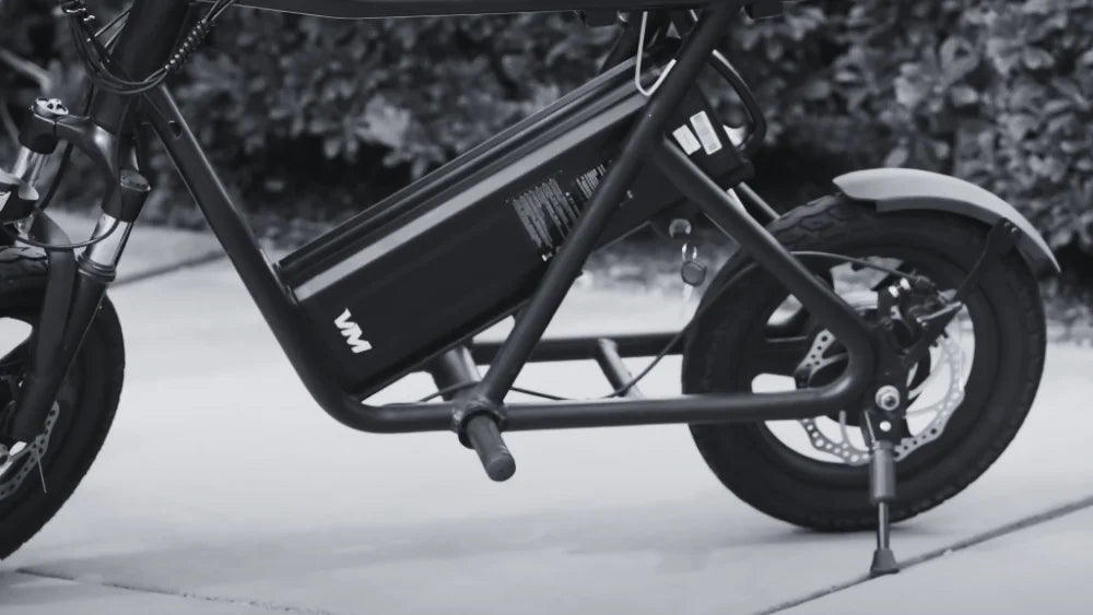 EMOVE RoadRunner Removable Battery