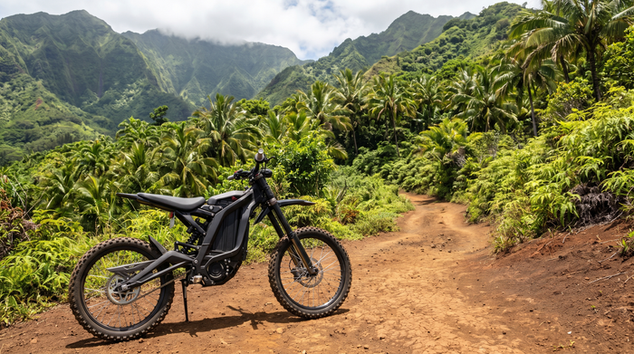 Where to Buy an E Ride Pro in Hawaii