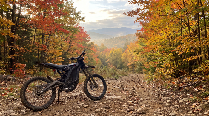 Where to Buy an E Ride Pro in New York