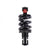 Adjustable Rear Suspension for Wolf King GTR