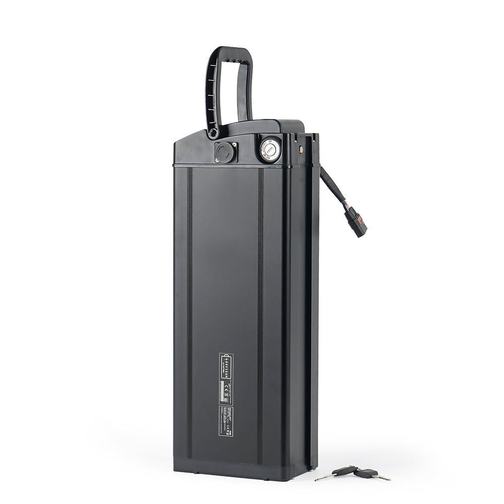 60V 30Ah Battery for EMOVE Roadrunner Pro