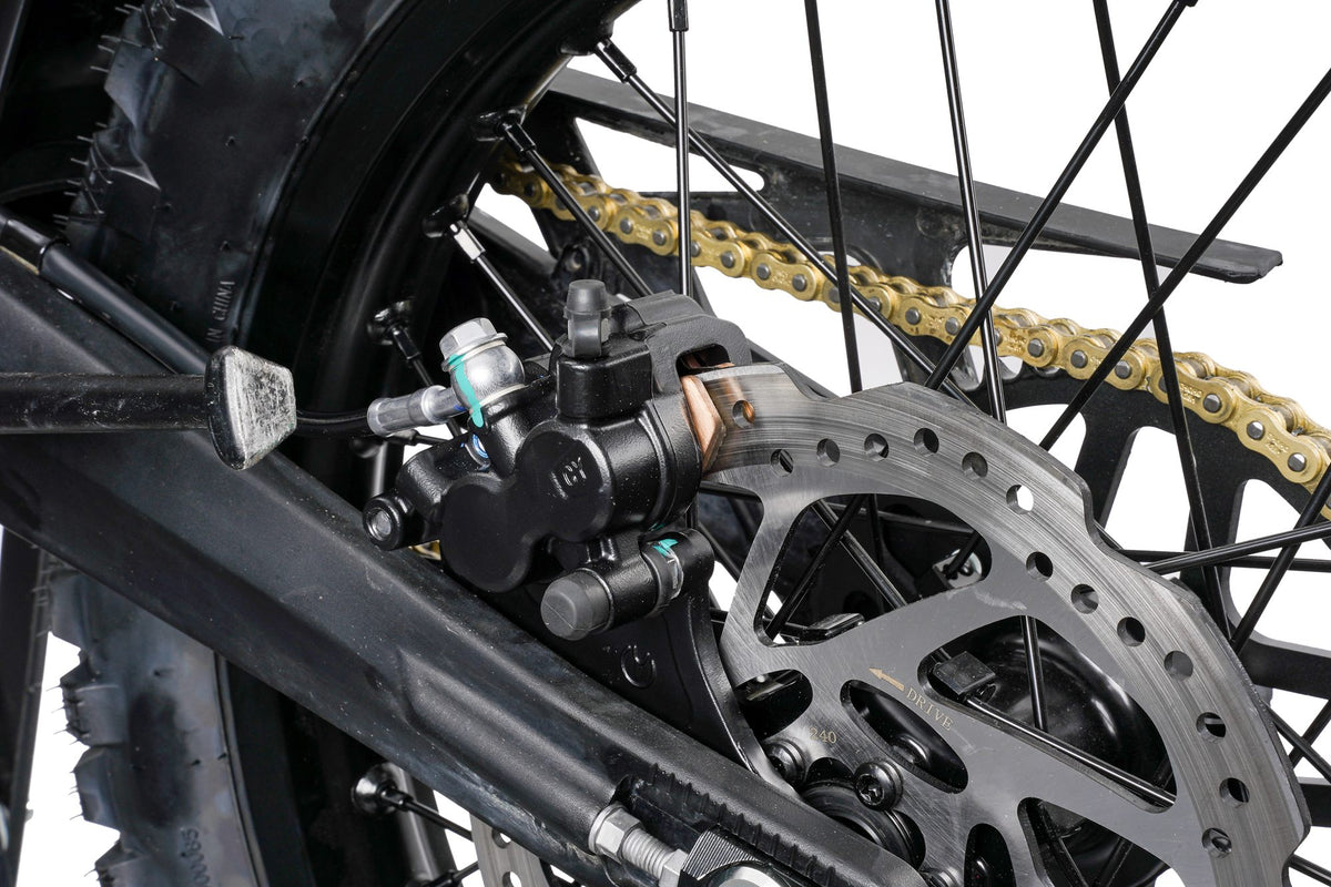 Arctic Leopard XE Pro R chain, rear sprocket and disc brake