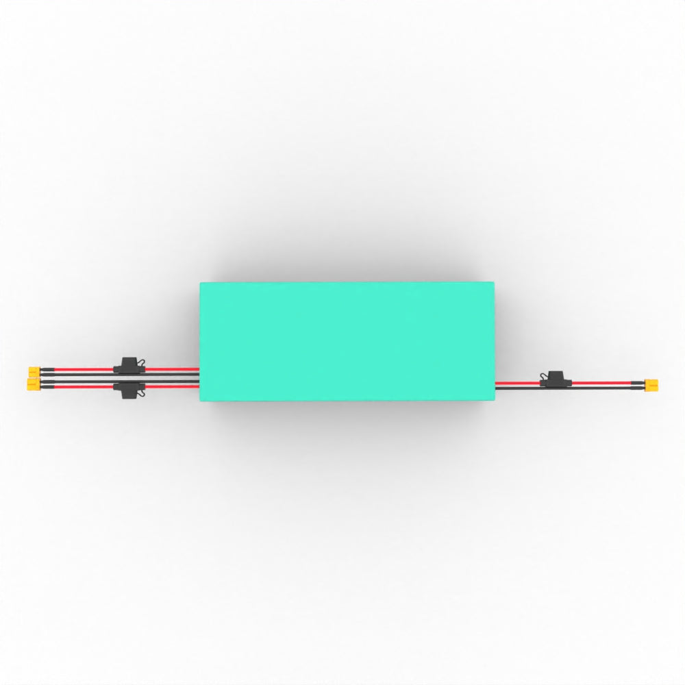 52V 30AH Battery for Cruiser V2