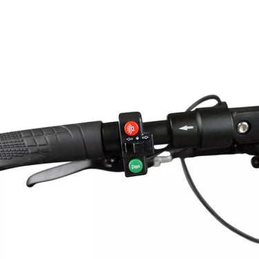 Horn and Light Plug and Play Button