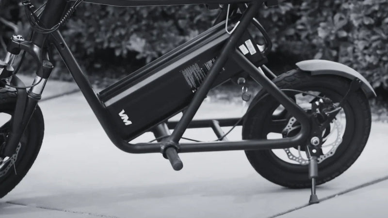 EMOVE RoadRunner Removable Battery
