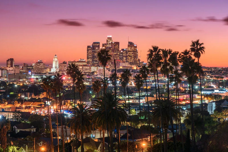 Real Los Angeles Riders Reveal a Electric Scooter's #1 Killer (It's Not Traffic)