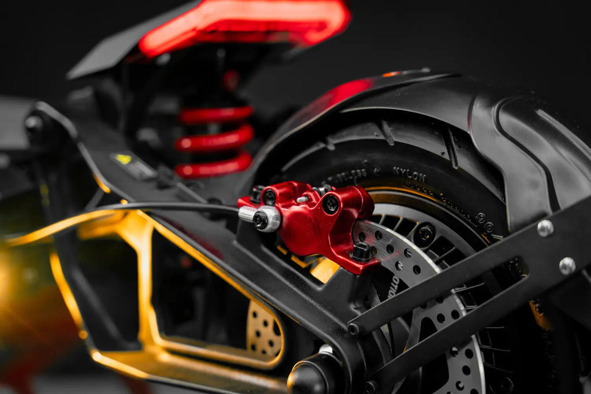 Born to race.