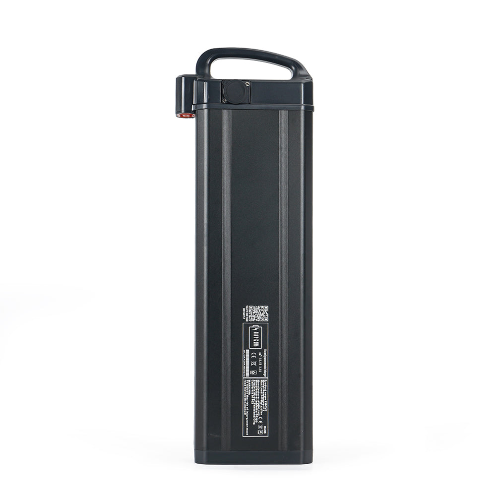48V 1124Wh Battery for EMOVE Roadrunner V3