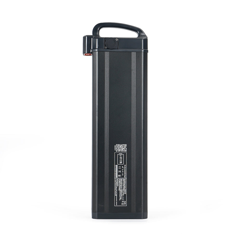48V 1124Wh Battery for EMOVE Roadrunner V3