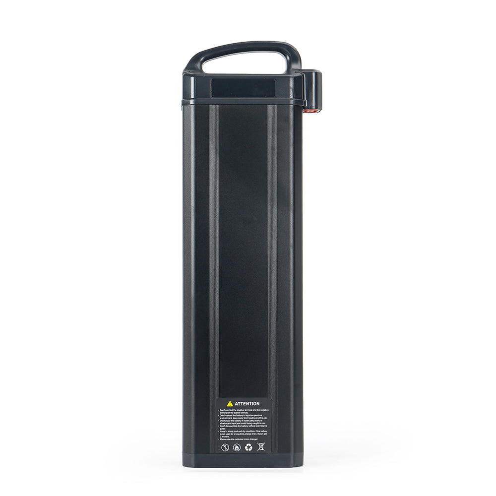 48V 1124Wh Battery for EMOVE Roadrunner V3