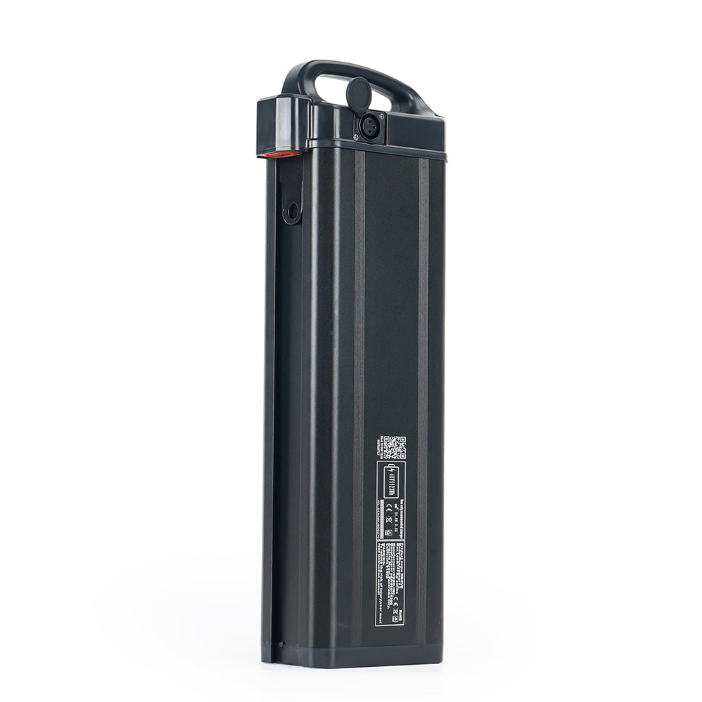 48V 1124Wh Battery for EMOVE Roadrunner V3