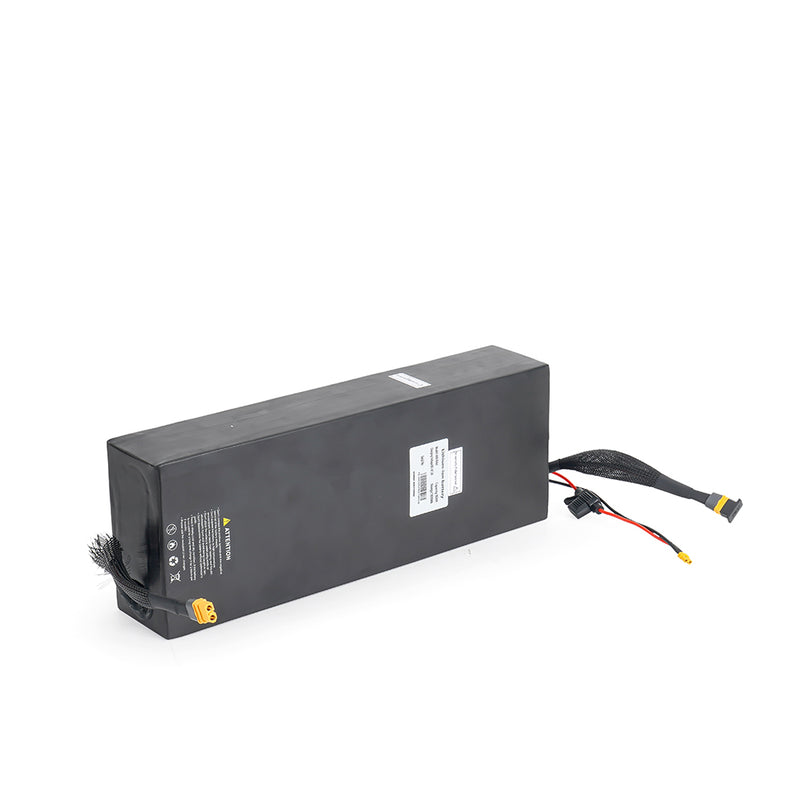 60V 30AH Battery for Cruiser V2 AWD