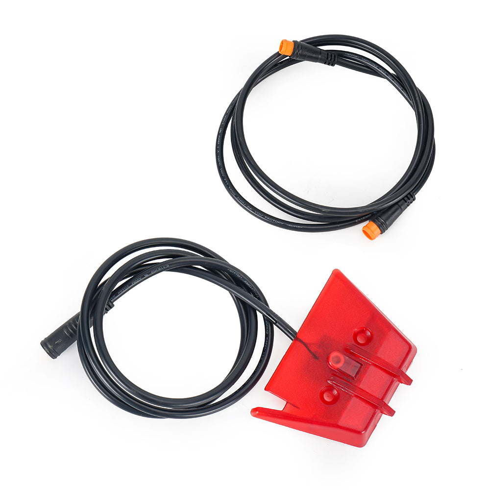 Rear Taillight for Daytona