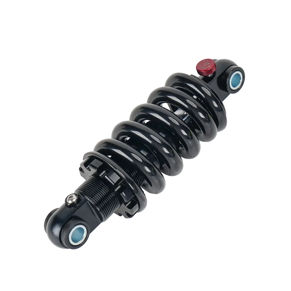 Adjustable Hydraulic Suspension for Daytona