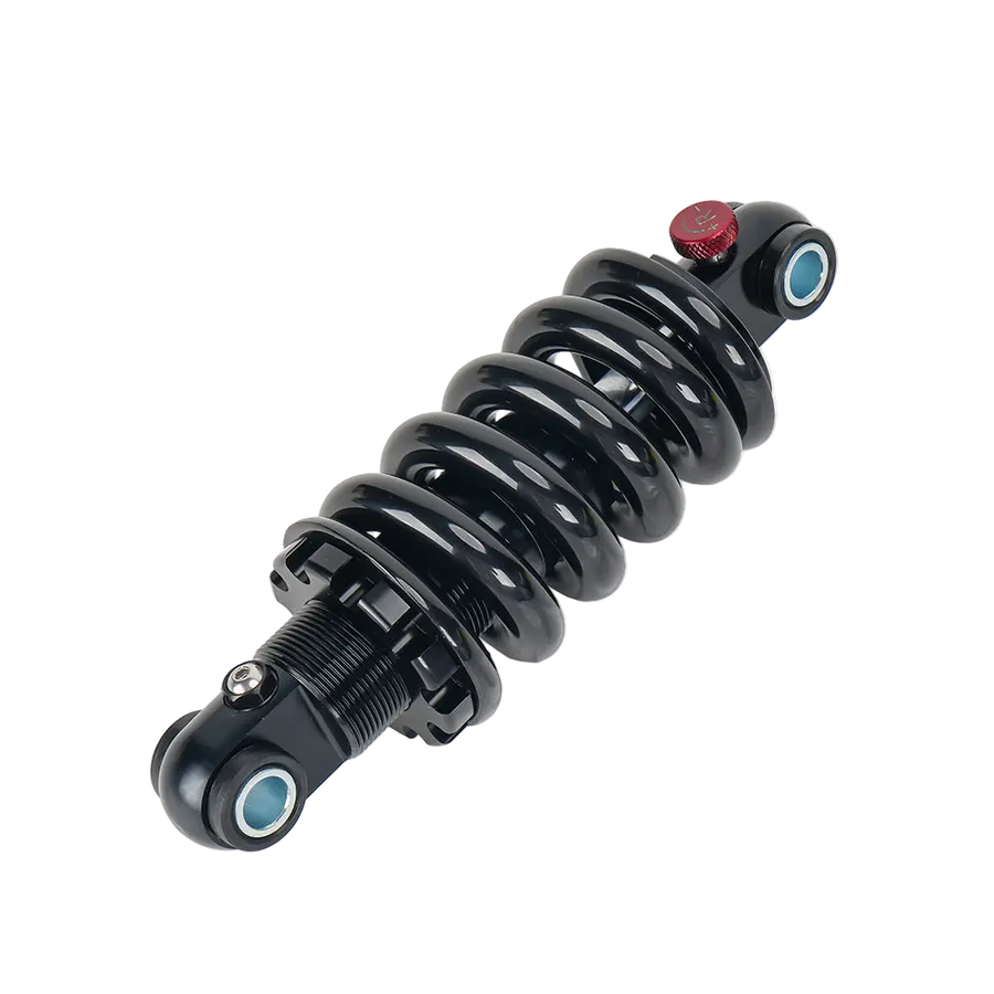 Adjustable Hydraulic Suspension for Daytona