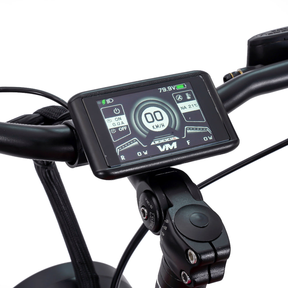 EMOVE RoadRunner Pro LCD display showing battery voltage and speed