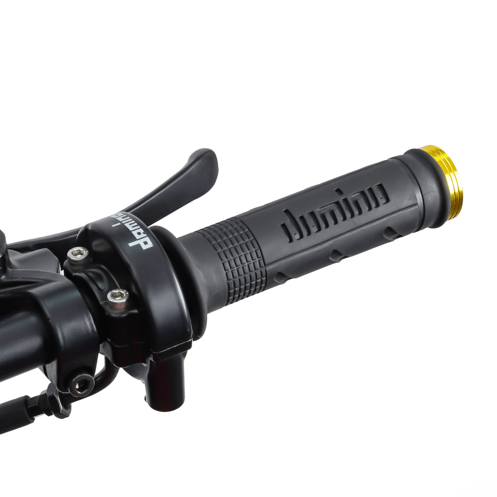EMOVE RoadRunner Pro Domino throttle grip and brake lever