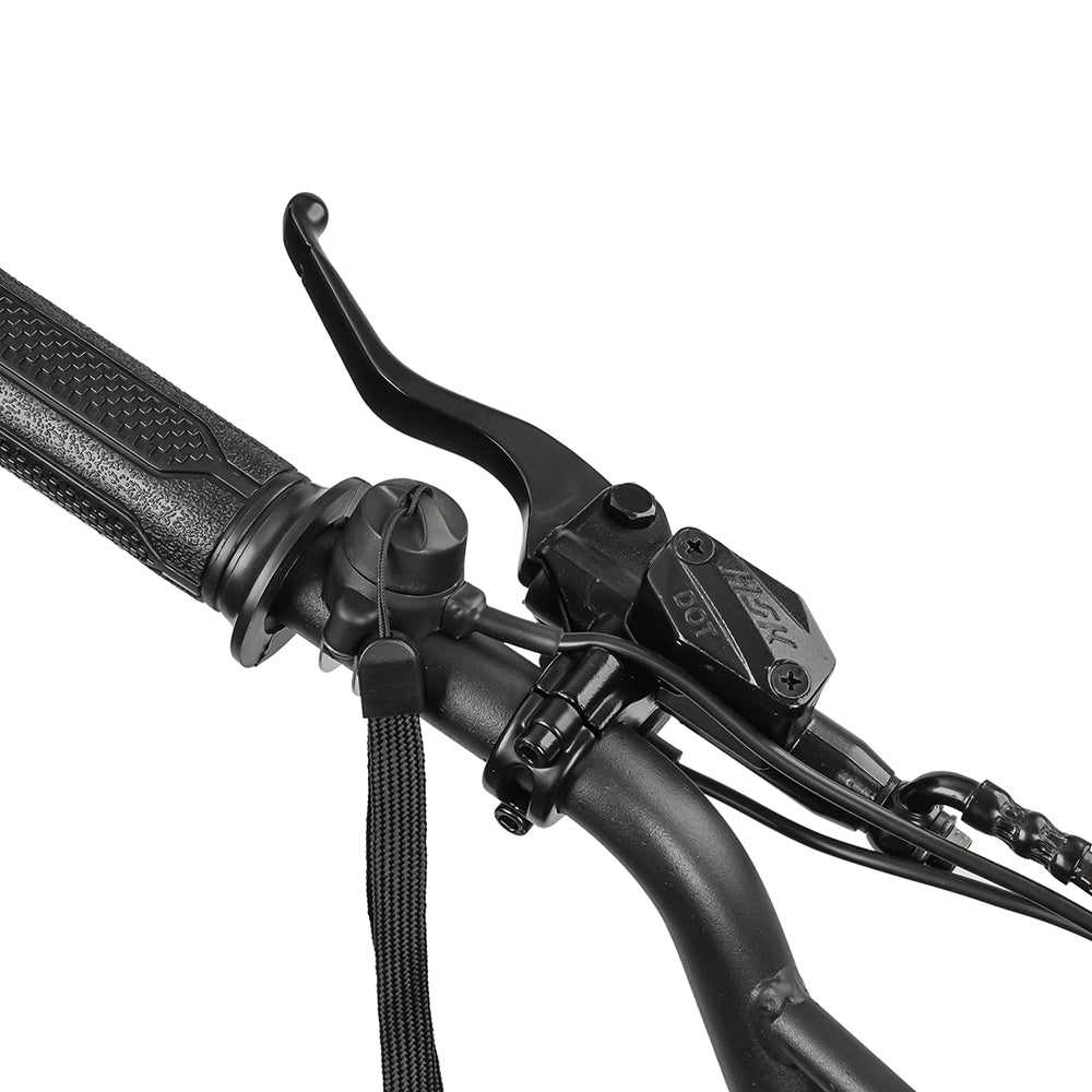 Aptum VM 1 - 48V Mini Pit Dirt EBike