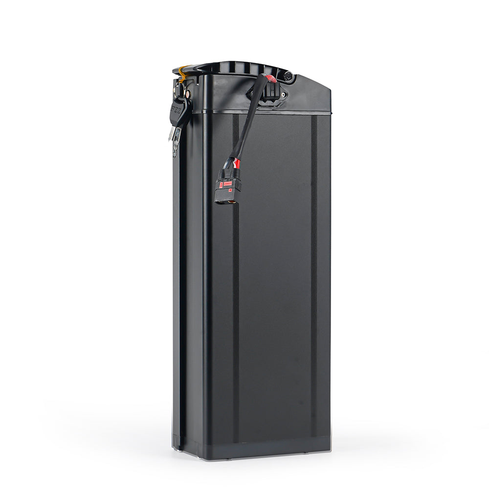 Batterie 60V 30Ah pour EMOVE Roadrunner Pro