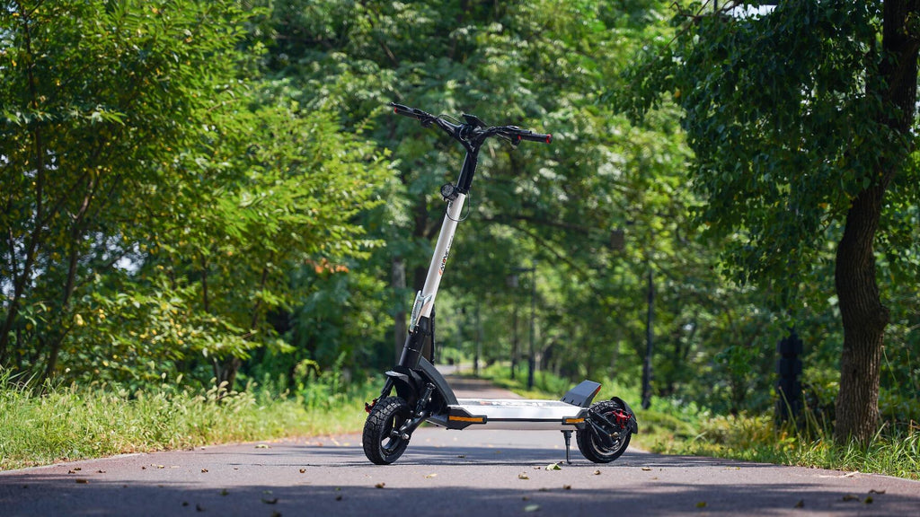 Experience superior control and stability with the EMOVE Cruiser V2's ...