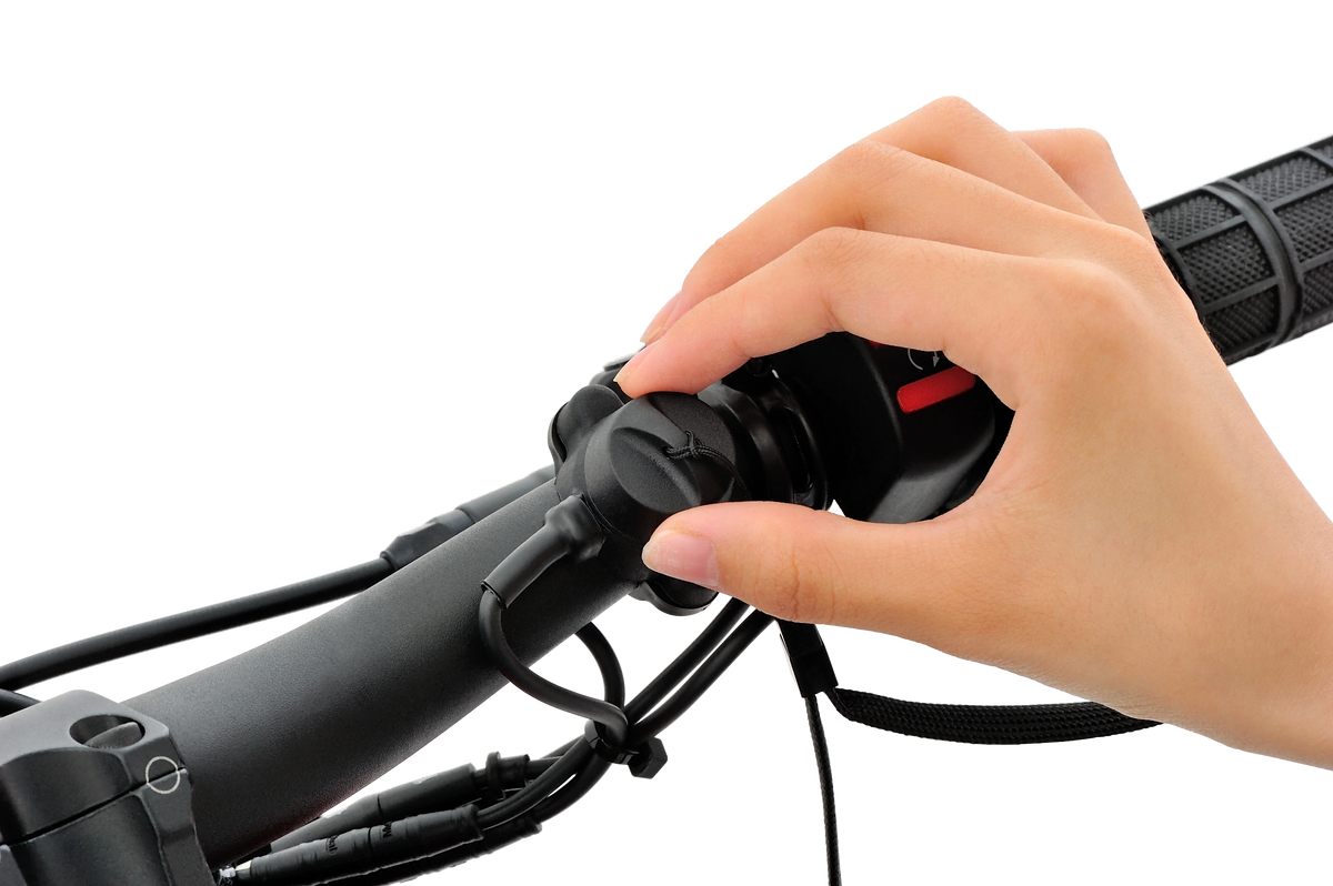 A leash, sensors, and a ceiling.