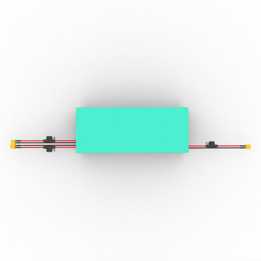 52V 30AH Battery for Cruiser V2
