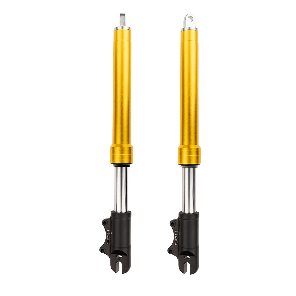 Front Suspension Fork for Warrior X Pro