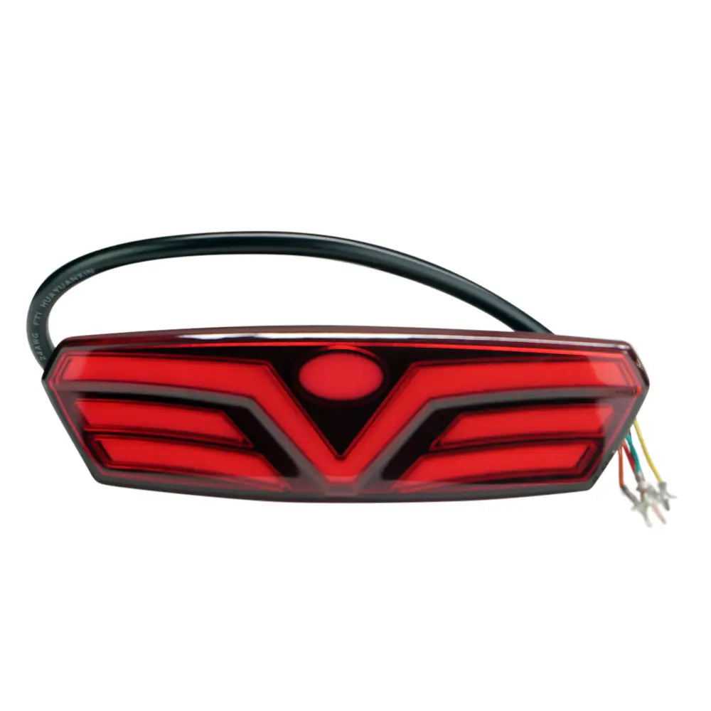 Taillight with Signals for Roadrunner