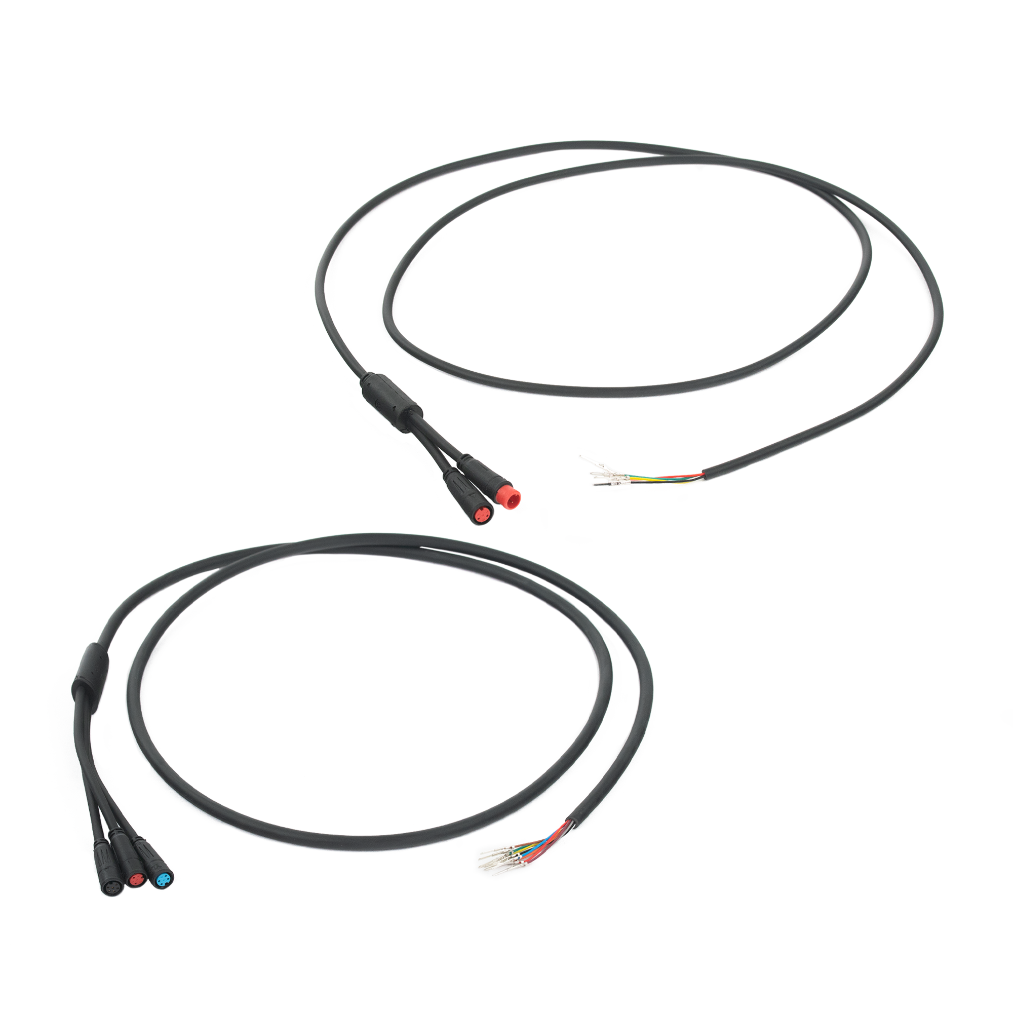 Main Connector for the Warrior and the King